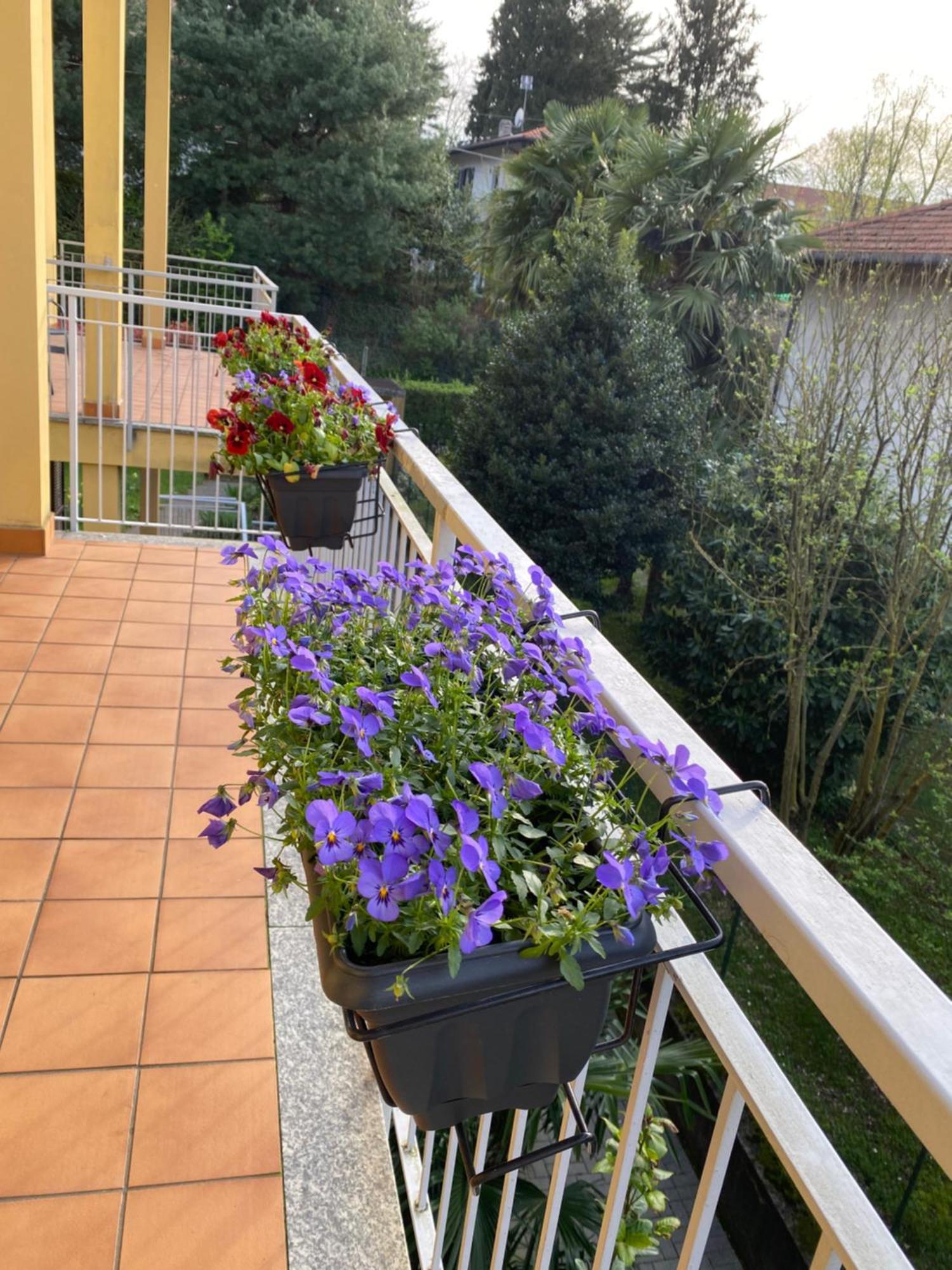 Appartamento Anna Lungo Fiume - Lago Maggiore Sesto Calende Esterno foto